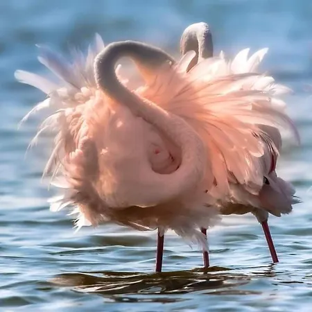 Le Mazet De L'amathye Gasthof Aramon